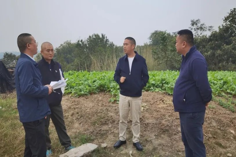 ����ΰ���Ӷ�����Ŀ��������